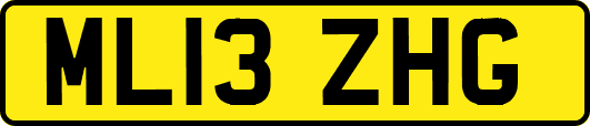 ML13ZHG