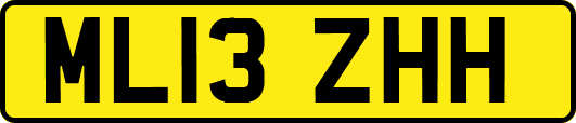 ML13ZHH