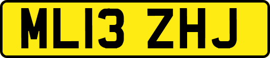 ML13ZHJ