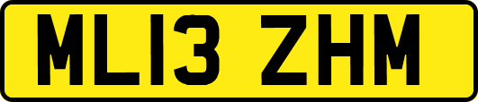 ML13ZHM