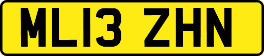 ML13ZHN