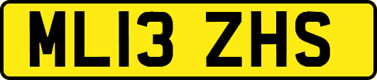 ML13ZHS