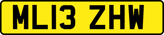 ML13ZHW