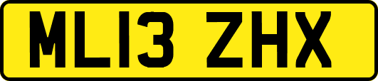 ML13ZHX