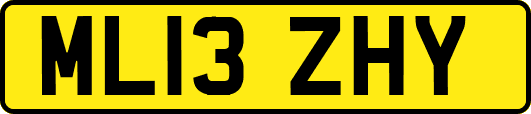 ML13ZHY