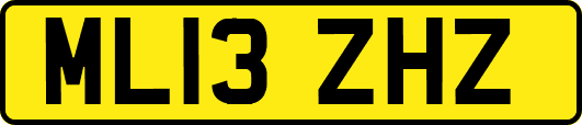 ML13ZHZ