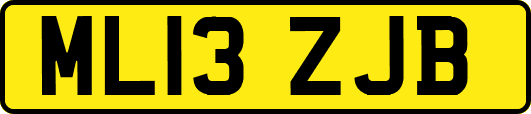 ML13ZJB