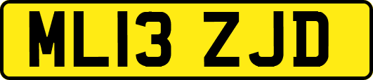 ML13ZJD