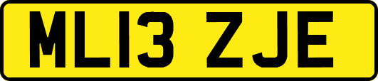 ML13ZJE