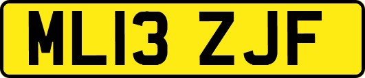 ML13ZJF