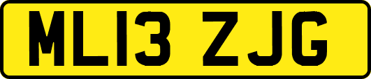 ML13ZJG