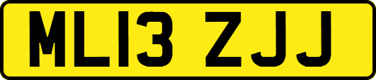 ML13ZJJ