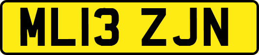 ML13ZJN
