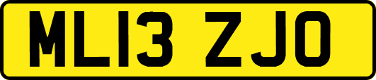 ML13ZJO
