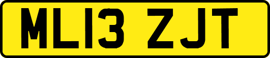 ML13ZJT