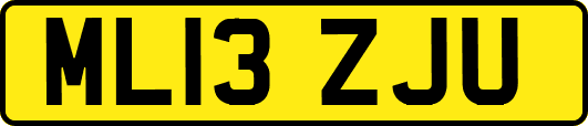 ML13ZJU