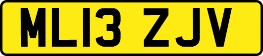 ML13ZJV