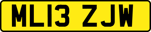 ML13ZJW
