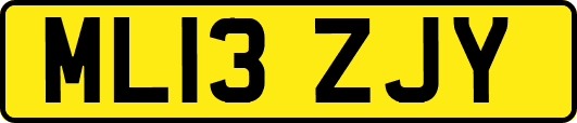 ML13ZJY