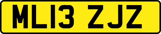 ML13ZJZ