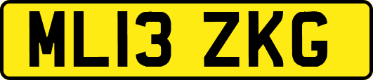 ML13ZKG