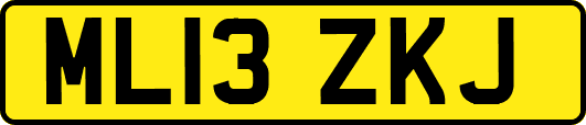 ML13ZKJ