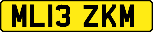 ML13ZKM