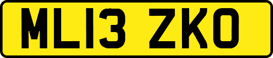 ML13ZKO