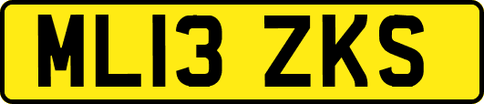 ML13ZKS
