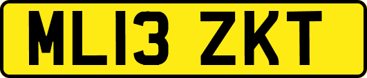 ML13ZKT