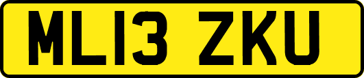ML13ZKU
