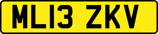 ML13ZKV