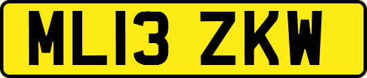 ML13ZKW