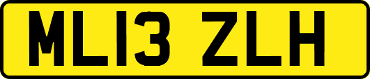 ML13ZLH