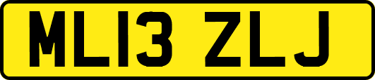 ML13ZLJ
