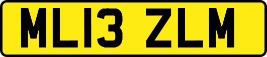ML13ZLM