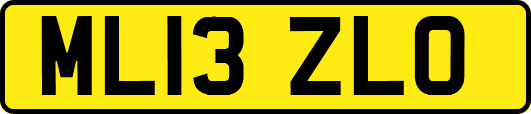ML13ZLO