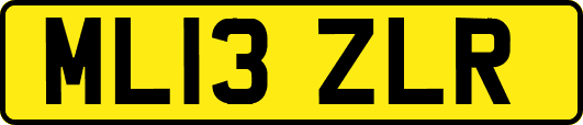 ML13ZLR