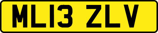 ML13ZLV