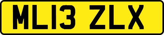 ML13ZLX