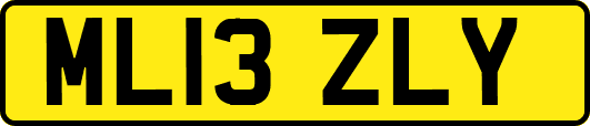 ML13ZLY