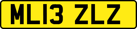 ML13ZLZ