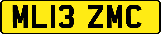 ML13ZMC