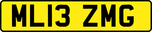 ML13ZMG