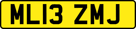 ML13ZMJ