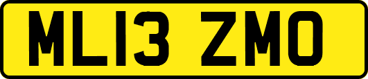 ML13ZMO
