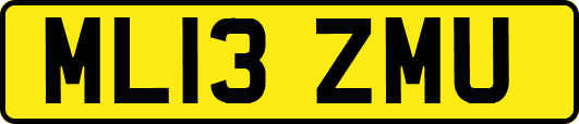 ML13ZMU