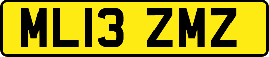 ML13ZMZ
