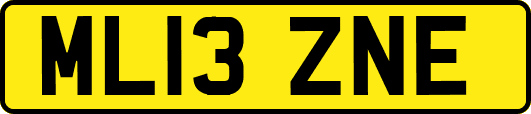 ML13ZNE