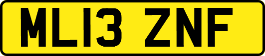 ML13ZNF
